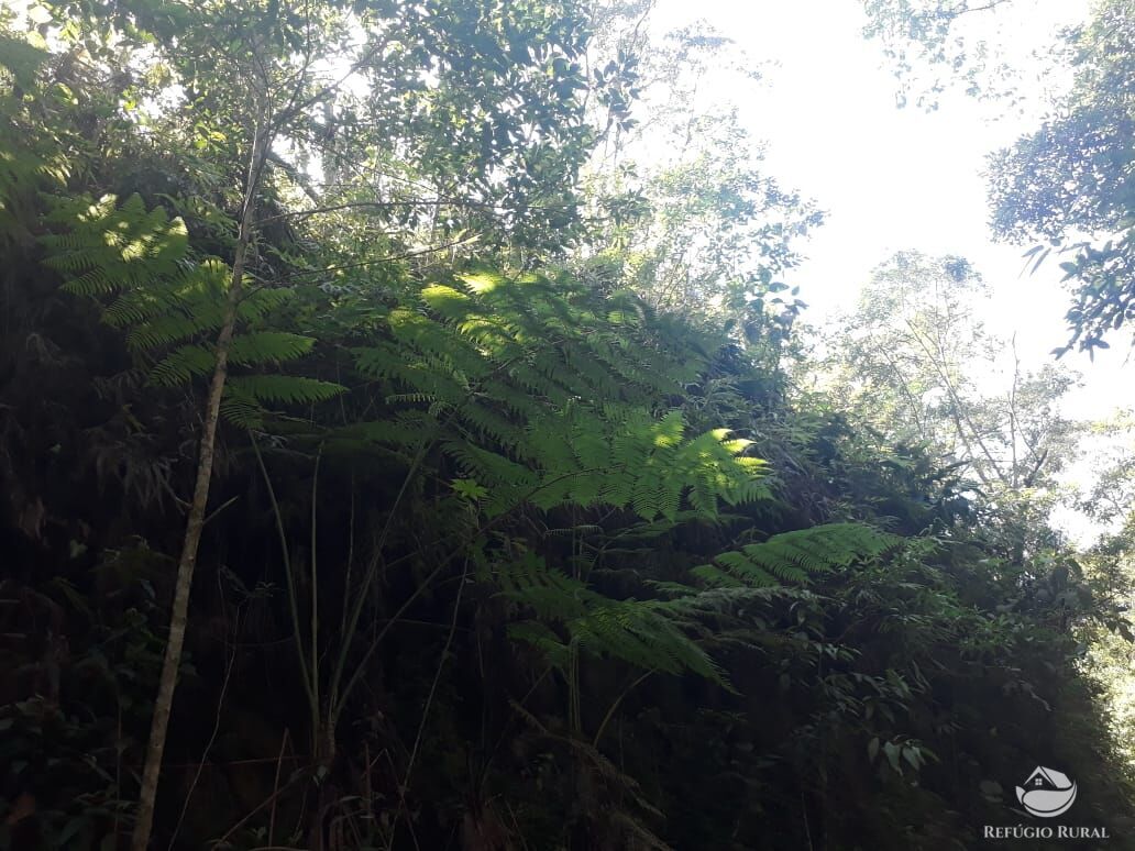 Sítio de 70 ha em São José dos Campos, SP