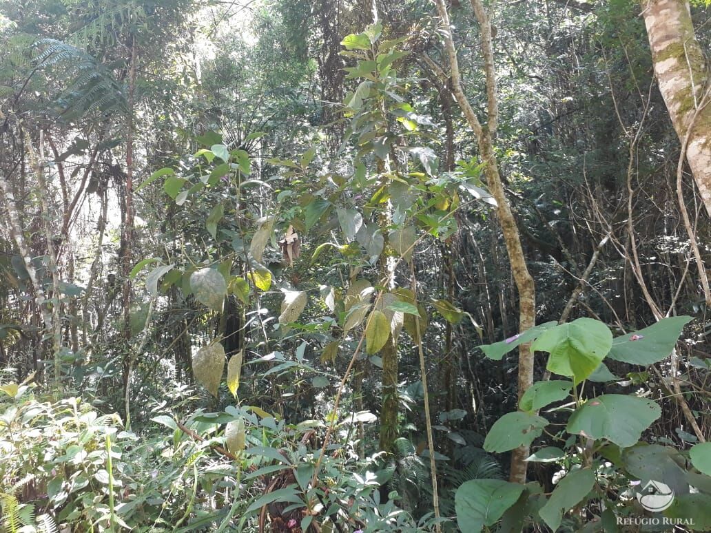 Sítio de 70 ha em São José dos Campos, SP