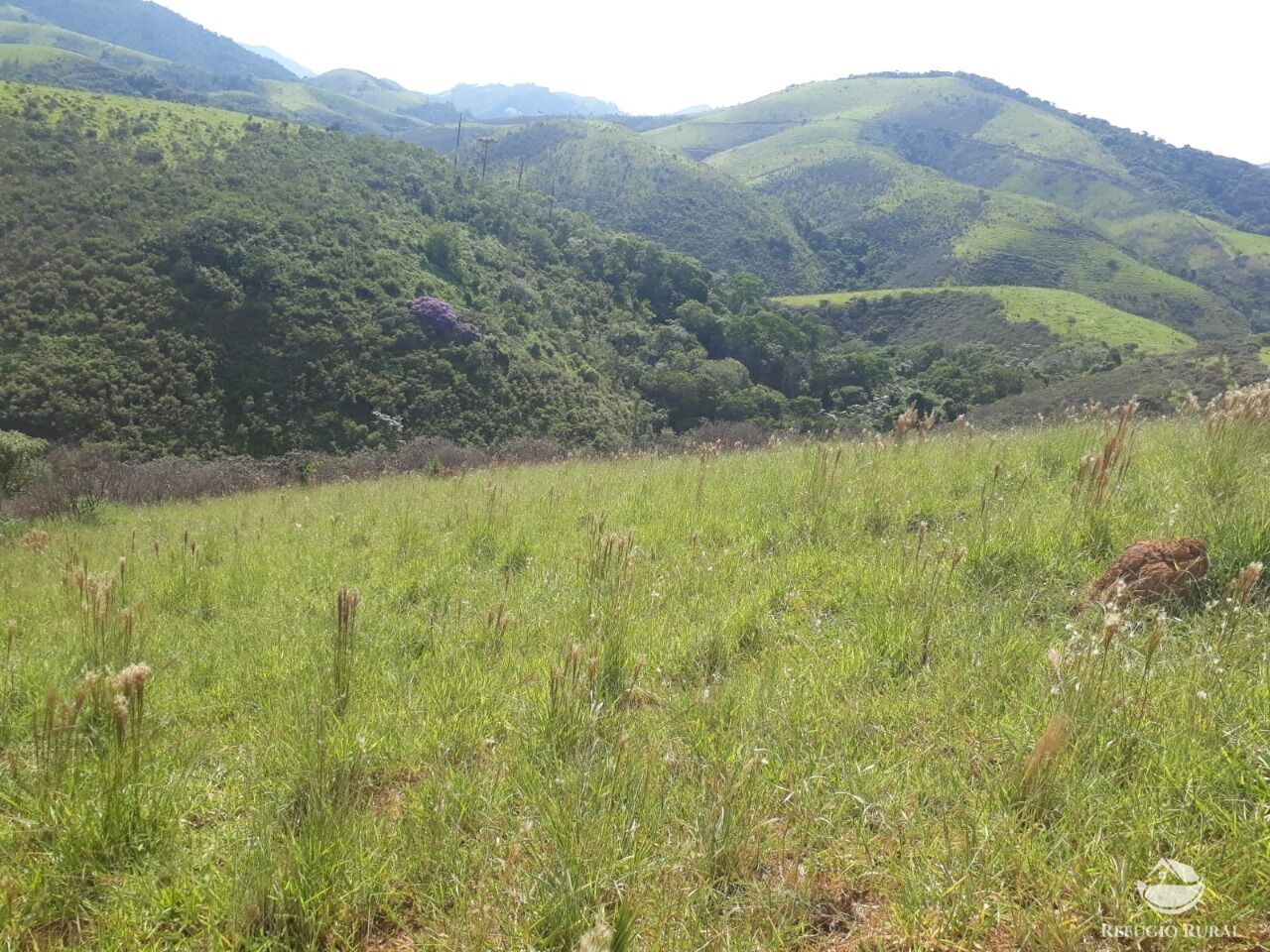 Sítio de 70 ha em São José dos Campos, SP