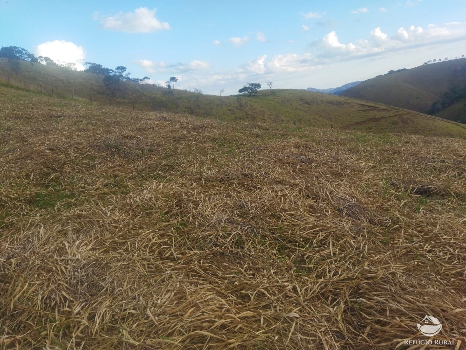 Terreno de 3 ha em Monteiro Lobato, SP