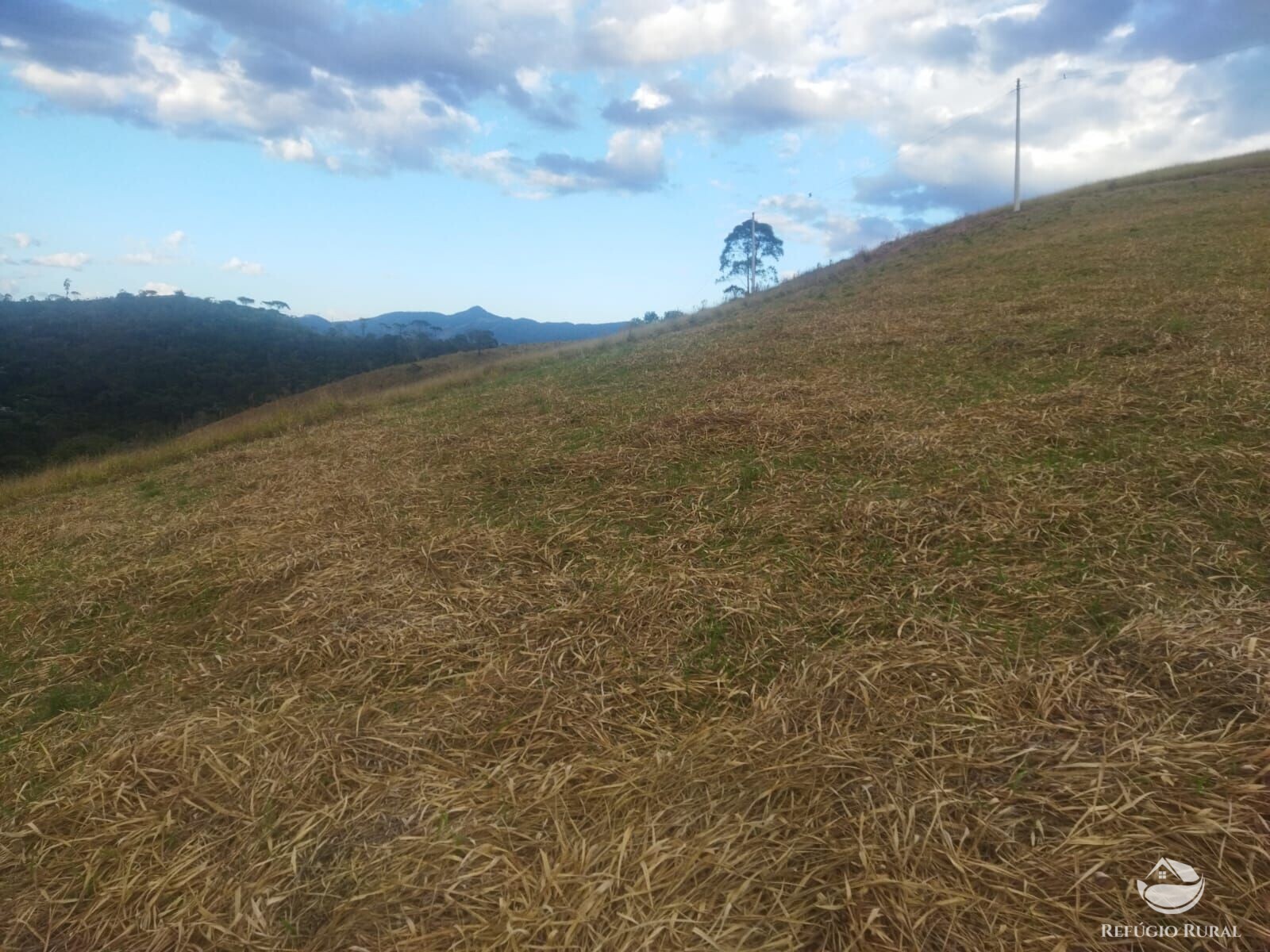 Terreno de 3 ha em Monteiro Lobato, SP