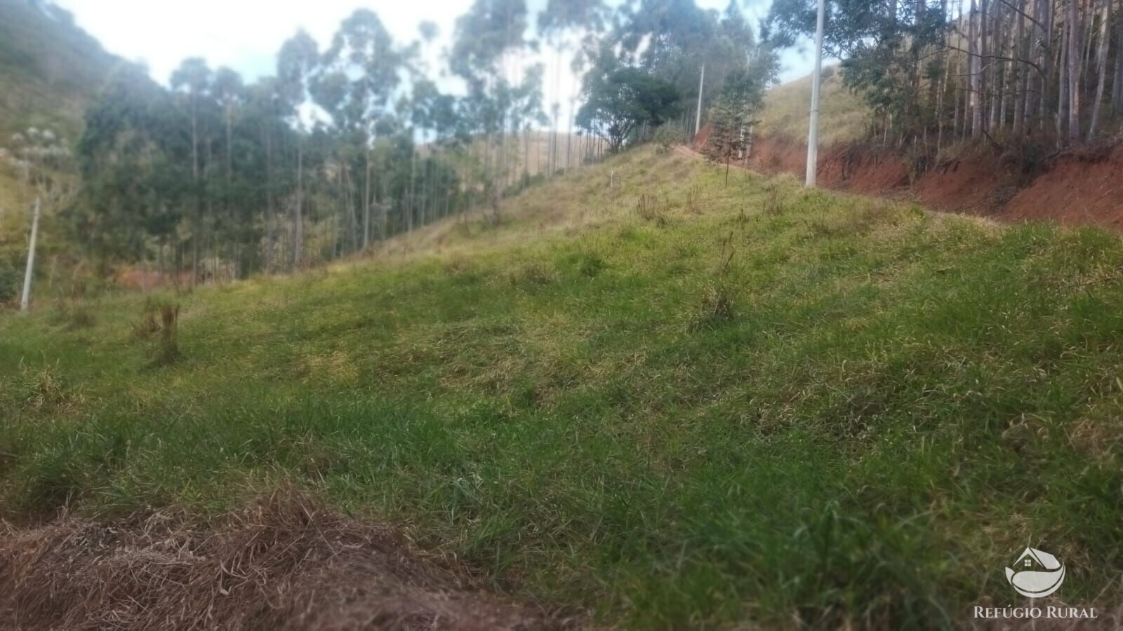 Terreno de 3 ha em Monteiro Lobato, SP