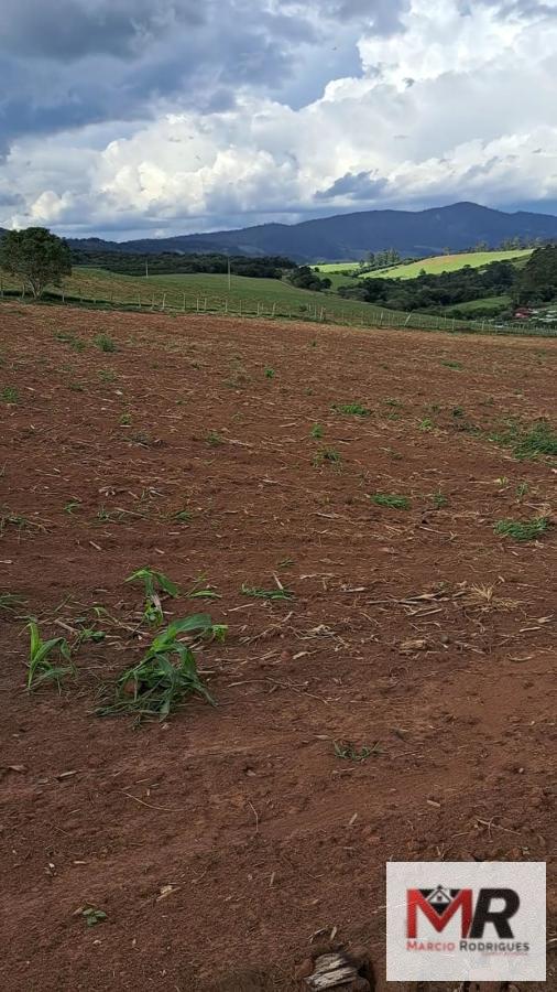 Sítio de 6 ha em Careaçu, MG