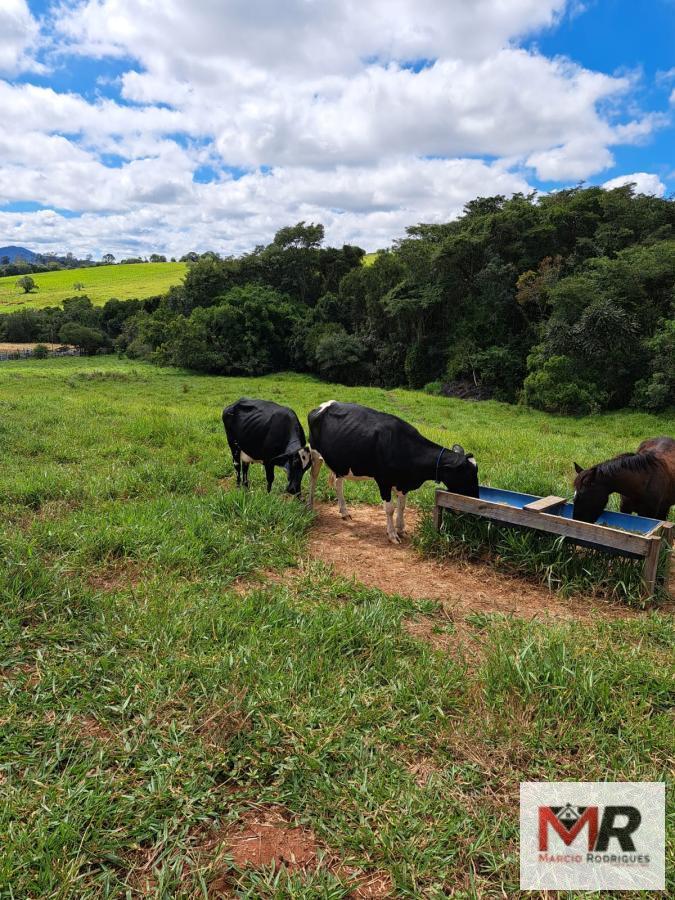 Sítio de 6 ha em Careaçu, MG