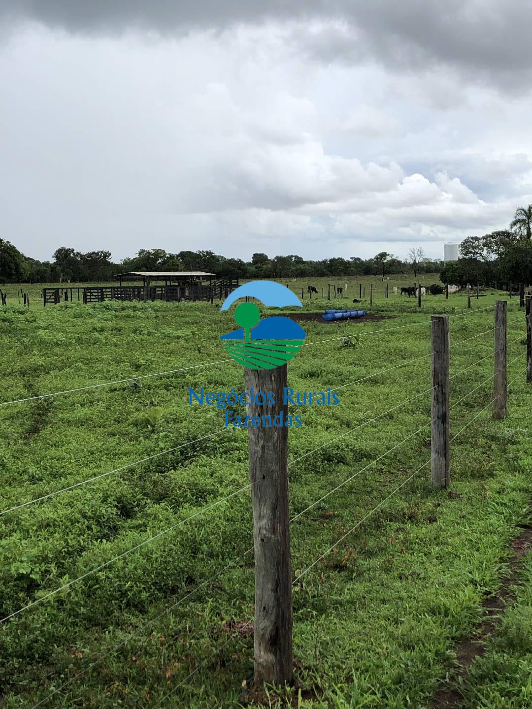 Fazenda de 30 ha em Uruaçu, GO