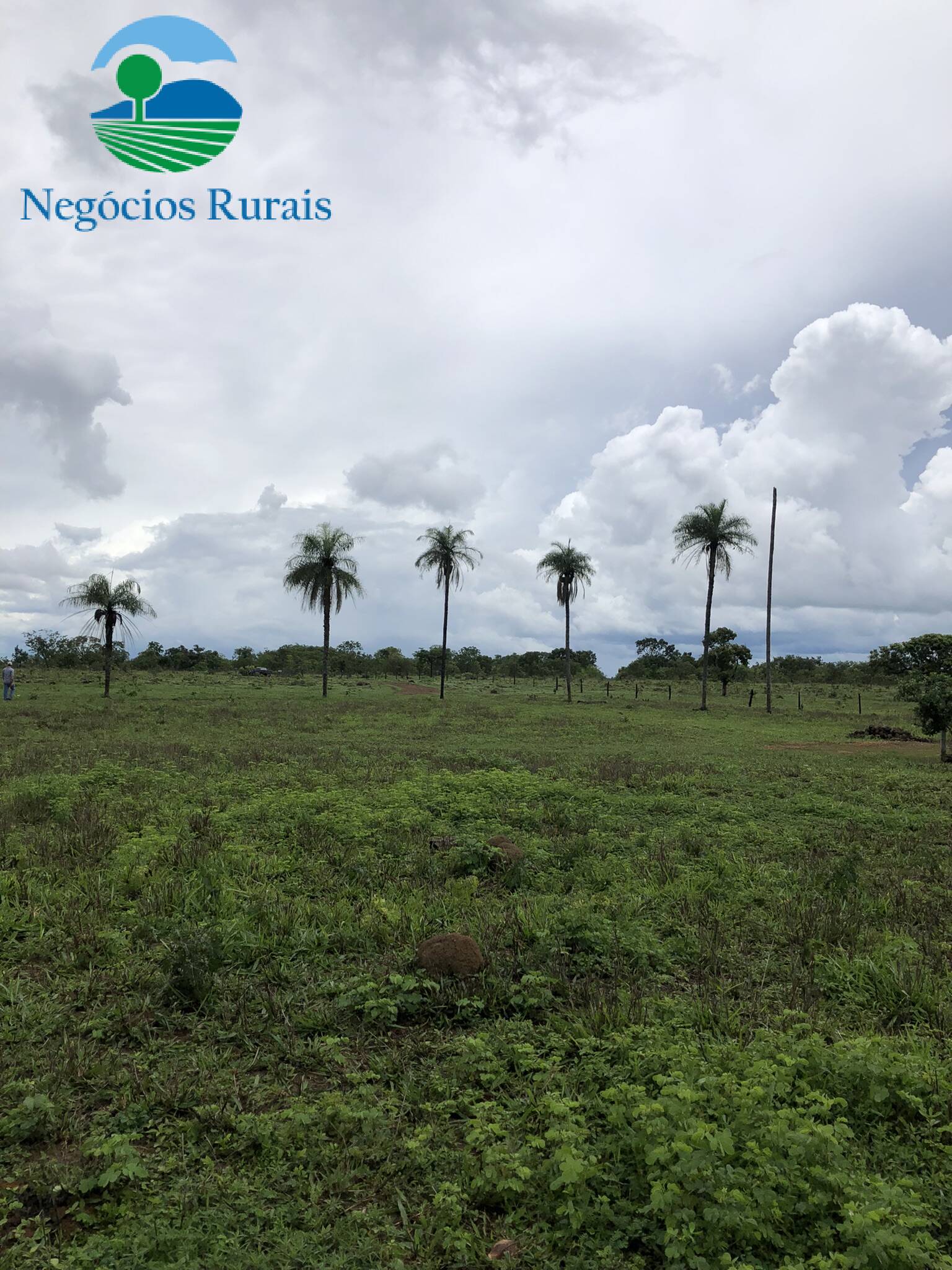 Fazenda de 30 ha em Uruaçu, GO