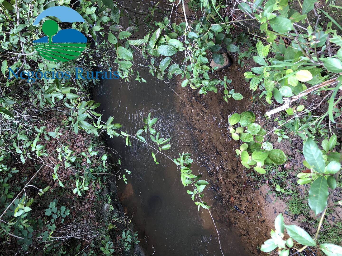 Fazenda de 30 ha em Uruaçu, GO