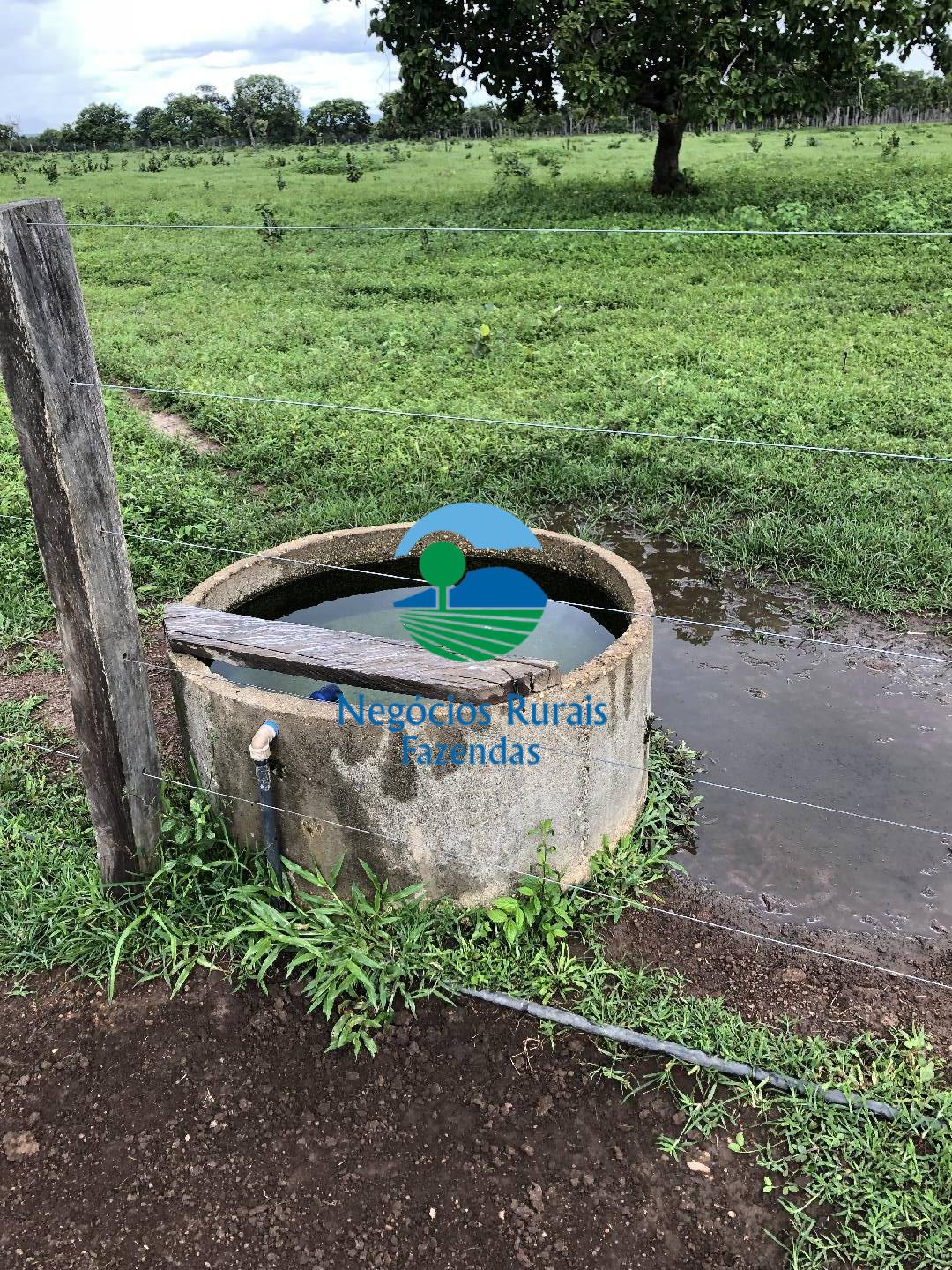 Fazenda de 30 ha em Uruaçu, GO