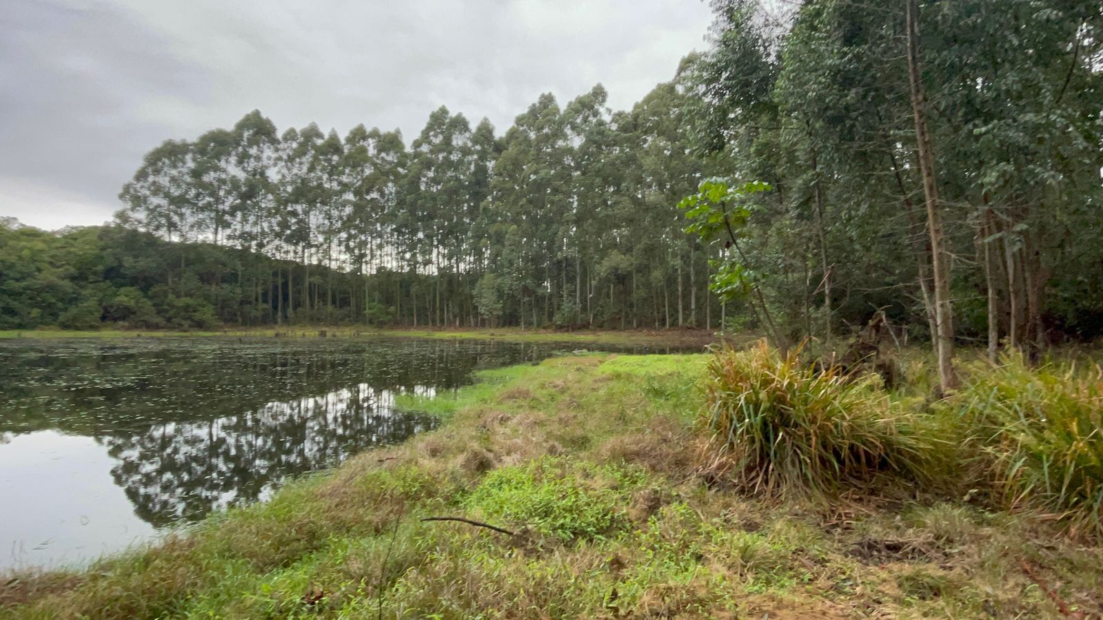 Chácara de 12 ha em Glorinha, RS