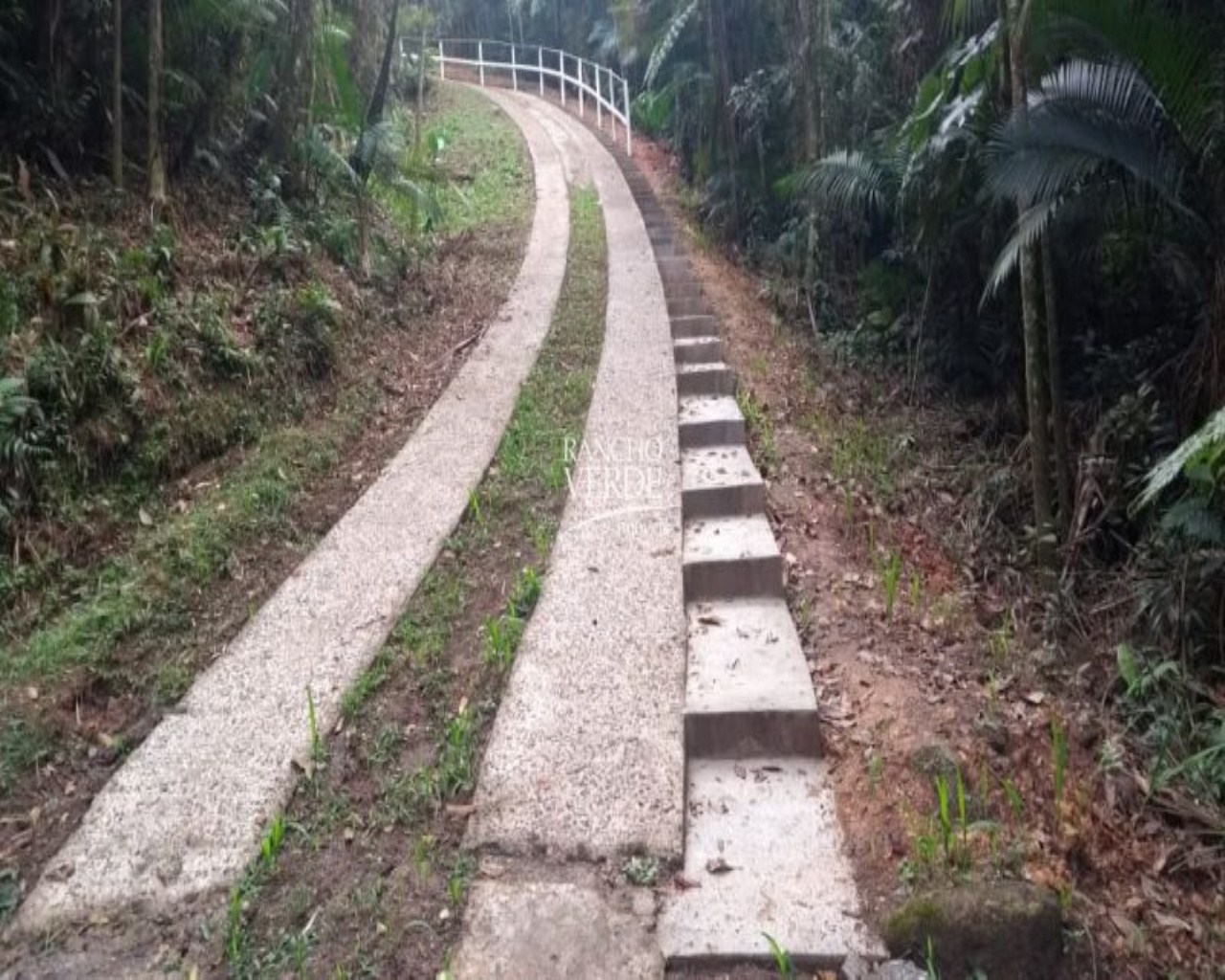 Sítio de 77 ha em Paraibuna, SP