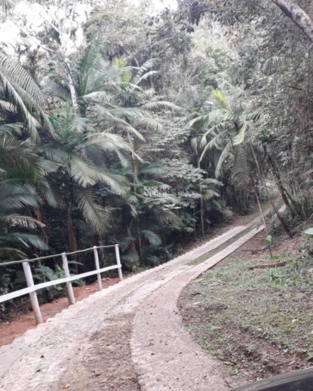 Sítio de 77 ha em Paraibuna, SP