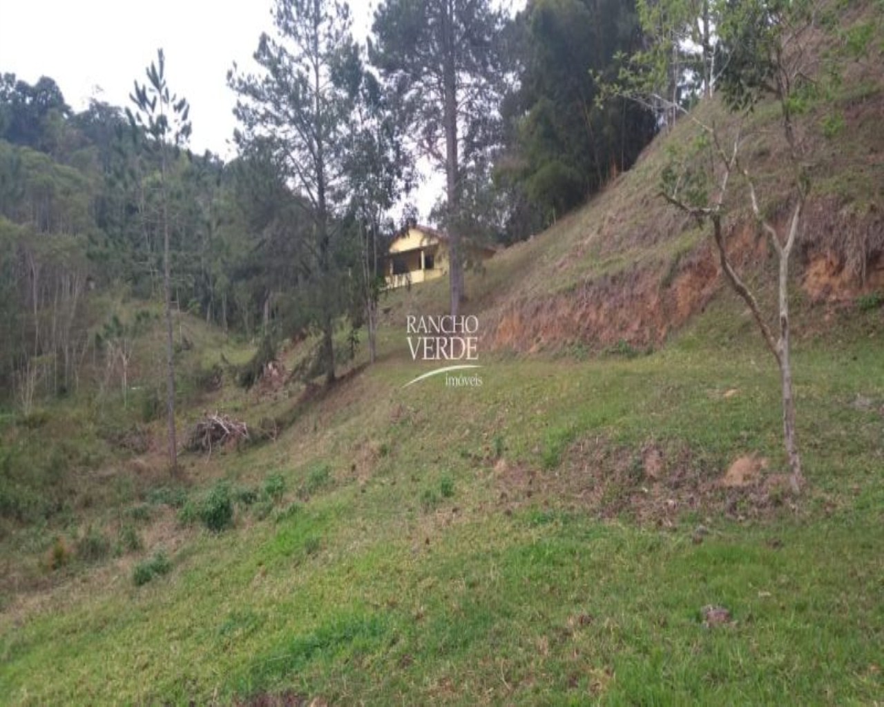 Sítio de 77 ha em Paraibuna, SP